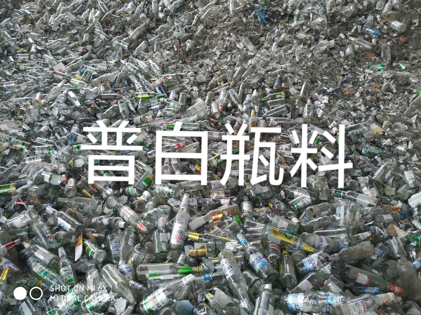 新北区普白瓶料回收