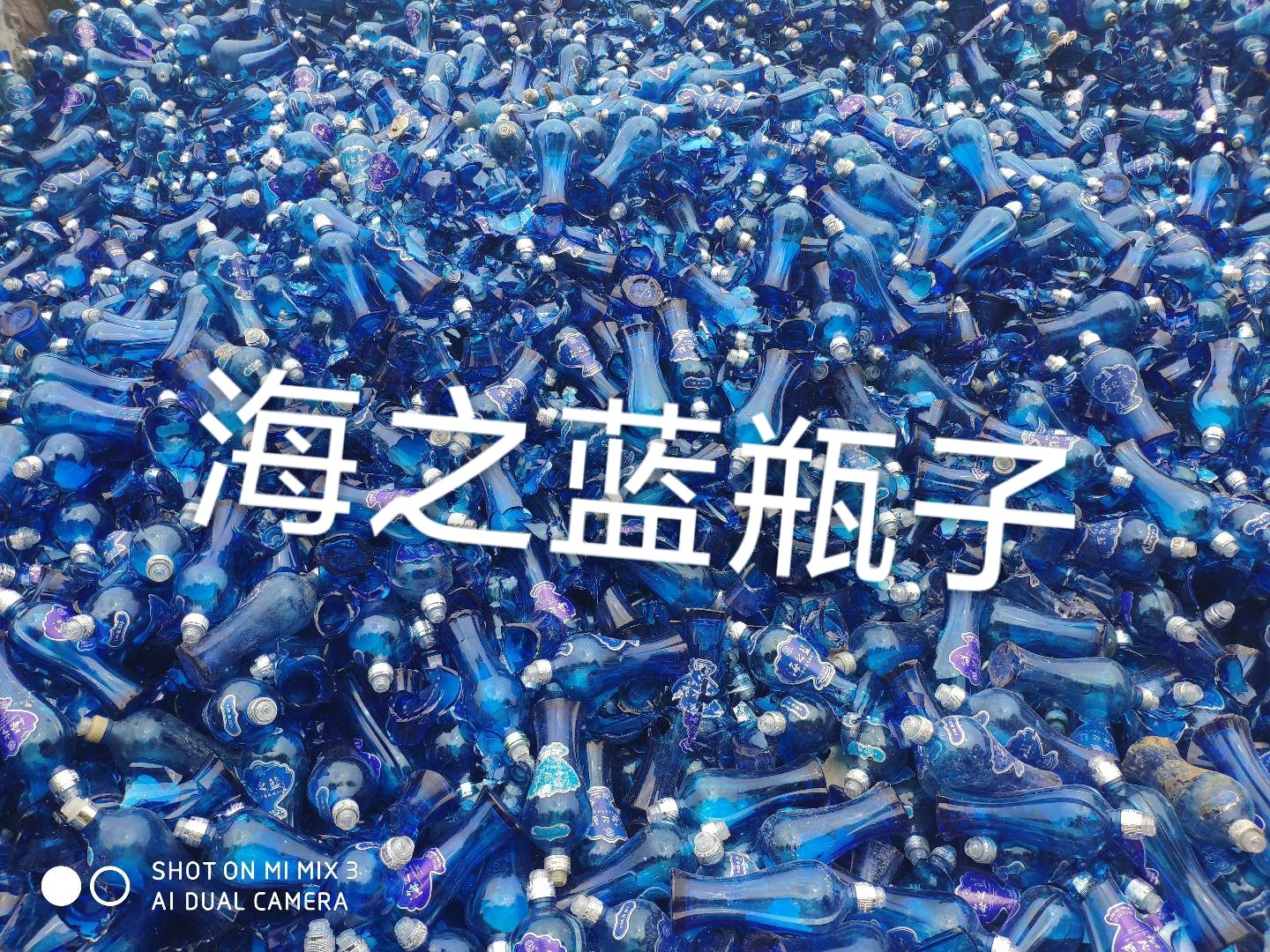 新北区海之蓝瓶回收