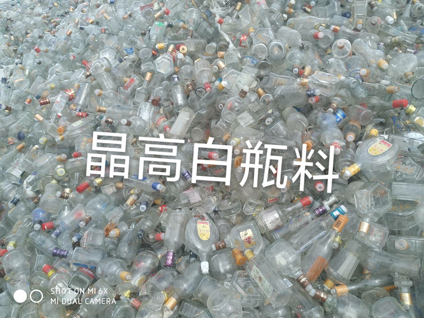 新北区晶高白瓶料回收